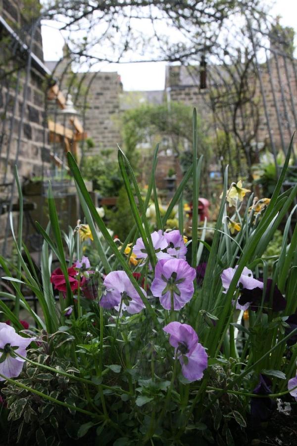 Bed and Breakfast Alexandra Court Harrogate Esterno foto